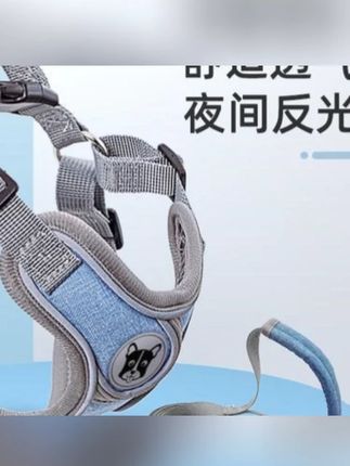 狗链子溜狗绳背心式可调节耐磨胸背带泰迪柯基法斗中型小型牵引绳#新手养狗 #养狗人 #遛狗 #牵引绳遛狗