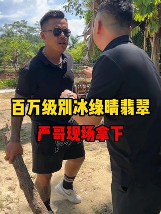 百万级别冰绿晴翡翠,严哥现场拿下 #翡翠 #珠宝首饰 #翡翠手镯