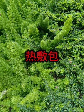 #肩颈理疗 #热敷护具 #艾灸养生