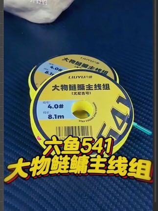 六鱼大物鱼线进口原丝主线成鲢鳙翘嘴加强版强拉力韧耐磨巨物线组
