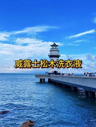 这款洗衣液真的绝,洗完衣服又香又干净,全家老小都能用!#洗衣液 #居家必备 #好物推荐 #无限回购的宝藏单品 #在抖音入手的好东西