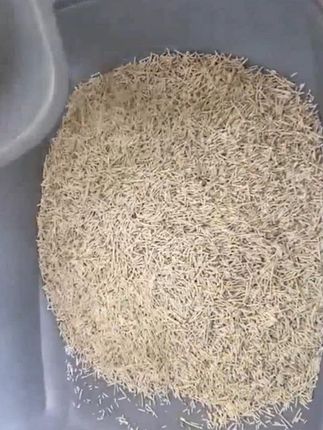 豆腐猫砂 【囤货超值购】豆腐猫砂粉尘低植物原料净味猫砂强效除臭