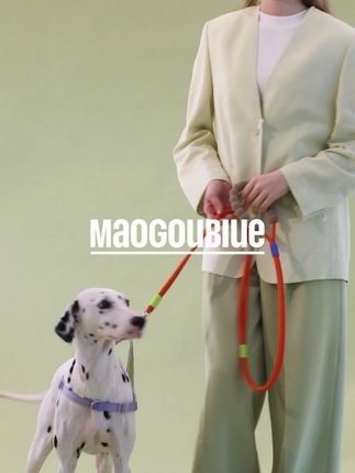 多功能中小型犬出行牵引绳 握住【解压棉花糖】的触感魔法,#maogoublue #maogoublue牵引绳 #猫狗蓝 #多功能牵引绳 #牵引绳