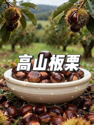 高山深山里的老树板栗!!生吃又脆又甜! 煮熟跟糖炒栗子一样都是粉面香甜,喜欢吃板栗的朋友不错过啦 #板栗 #深山板栗 #快来一起尝个鲜 #优质农产品 #无限回购的宝藏单品