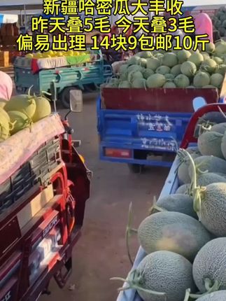 今年新上市的哈密瓜,脆甜多汁,皮薄肉厚,真的很好吃!#哈密瓜 #优质农产品 #新鲜采摘 #脆甜多汁 #应季水果