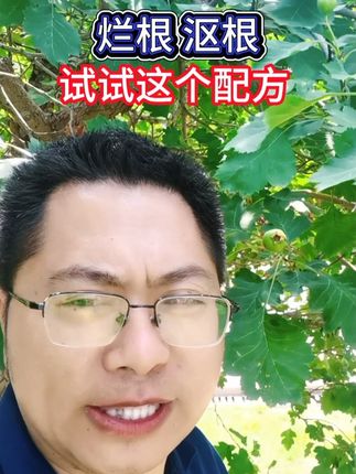 根好产量高试试这个配方,沤根枯萎轻松应对! #农业种植 #果树种植 #根腐病防治 #大棚种植 #生根