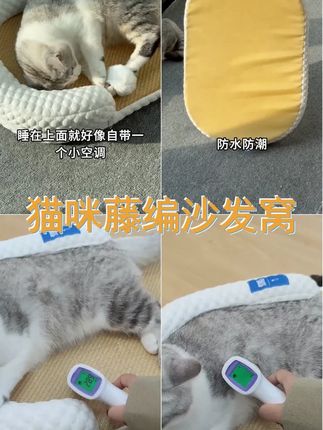 冰冰凉凉的夏日专享,藤编猫咪沙发窝,四季通用,可拆洗设计,让你的猫咪尽情享受清凉 ,,话题 ,1. #可拆洗猫窝 5. #宠物凉席窝 #藤编猫咪窝 3. #猫咪夏日清凉 2. #猫咪凉席