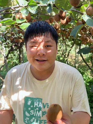 这个爆汁的徐香猕猴桃再不吃就没有了 #新鲜采摘 #应季水果 #水果自由 #果园直发