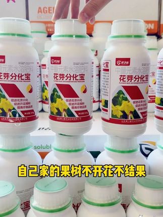 点击视频同款 花芽分化宝#农资 #好产品分享 #三农 #肥料 捍卫者花芽分化宝瓜果蔬菜促进分化保花保果增产增收叶叶面水溶肥