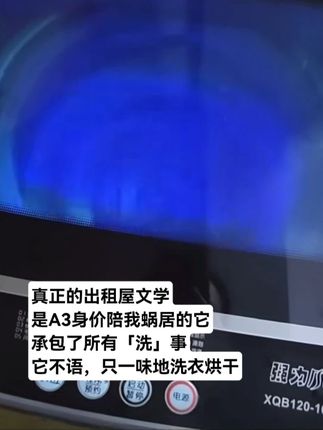 一台志高洗衣机,你的最佳室友 #租房生活 #洗衣机 #平价好物 #国补 #租房好物