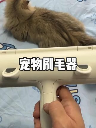 小猫子总是喜欢在床上睡觉 床上都是猫毛 你就用它轻松解决猫毛棉絮#刷毛器 #宠物刷毛器 #猫咪刷毛器 #宠物毛刷 #猫毛刷