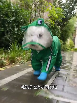狗狗雨衣金毛衣服哈士奇法斗巴哥拉布泰迪猫咪四脚雨衣宠物用品