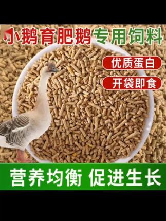 鹅饲料小鹅幼鹅中大鹅专用颗粒饲料育肥鹅通用全价料高蛋白开口料 #鸡鸭鹅养殖 #养殖好帮手 #农村创业养殖 #养殖人加油
