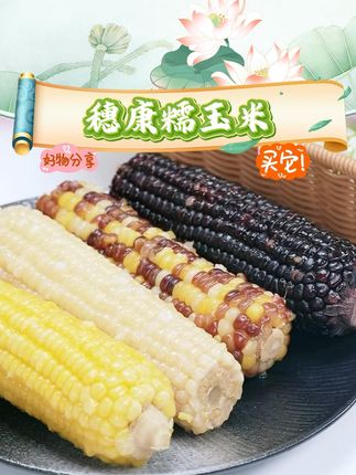 【穗康】白糯230g*10支/黄糯260g*10支/彩糯22 #糯玉米 #好吃到停不下来 #东北粘玉米 #玉米 #好物推荐 @DOU+好生意 @DOU+小助手