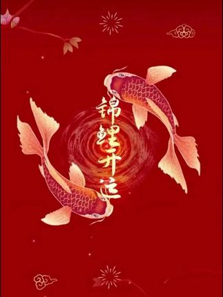 法式玛丽珍方跟裙子百搭小单鞋单鞋女春季复古软底夏季温柔鞋子#玛丽珍鞋 #小单鞋 #单鞋 #软底鞋 #法式鞋