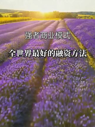 空手套白狼?揭秘“万能协议融资法”:零成本撬动亿万资金,聪明老板都在用!#资本运作 #资本运作大揭秘 #商业思维 #商业思维 #好书分享