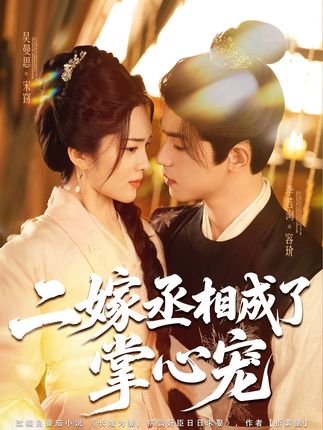 二嫁丞相成了掌心宠全集李若洵吴曼思-阿夹克斯