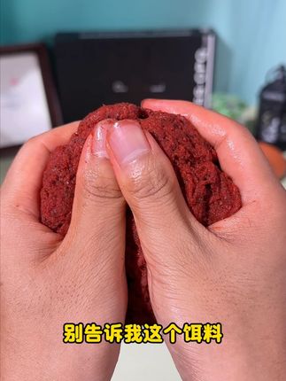 别告诉我这个饵料! 你还没用过!#钓鱼 #饵料 7.19X
