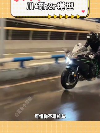 这玩意你拿出来的那一刻我就扛不住了!!真帅啊!!#男生的玩具 #川崎 #机车梦 #模型