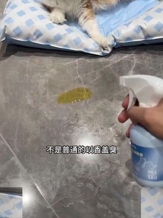 【网易严选】除螨喷雾抑菌除尿渍猫咪狗狗除臭植物配方去异味|粉 #养猫经验分享# 新手养猫 #养猫必备# 除臭喷雾 #养宠好物