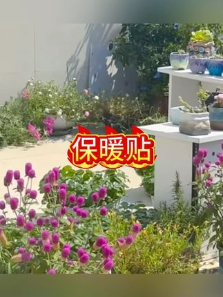 米卡博暖贴40片暖宝宝发热暖身贴持久生理期暖腹宝加强防寒保暖贴#保暖贴 #暖宝宝 #暖身贴 #暖贴 #暖宝宝贴