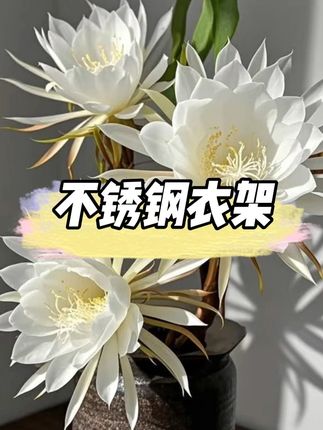 全实心加粗不锈钢晾衣架 #衣架 #不锈钢衣架 #挂衣架 #结实耐用 #超便宜超划算