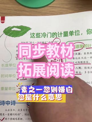 开心【趣读大语文】25秋新版同步教材拓展阅读 小学1-5年级 #趣读大语文 #25秋新版 #同步教材拓展阅读 #全国通用
