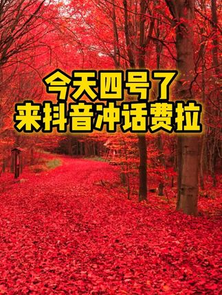 #优惠活动火爆进行中