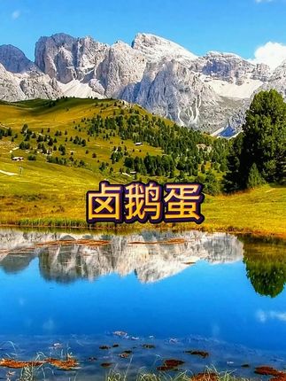 工厂直发4枚五香卤烤鹅蛋东北特色美食熟食零食先卤后烤清黄入味