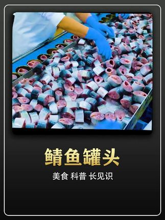 他明明穷的吃不起饭,却是将捕捉到鱼切成段塞进罐! #美食推荐 #快来一起尝个鲜 #深海鱼的营养价值 #鲭鱼 #鲭鱼罐头