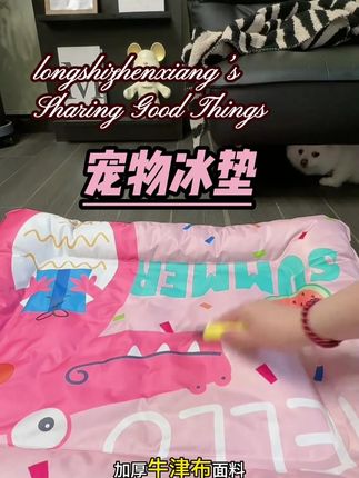 给我空调钱都省了,狗子真的超爱#宠物凉席窝 #宠物冰垫 #小狗冰垫 #宠物夏季凉席 #宠物夏季冰窝