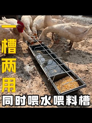 喂鸡神器鸡食槽长方形耐用干湿两用鸡食槽饲料桶喂鸡神器#喂鸡神器 #鸡食槽 #耐用鸡食槽 #干湿两用 #养鸡必备