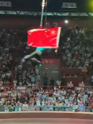 我的偶像巨顽皮