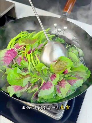 这样炒鸡蛋,鲜嫩入味,夏天吃超解腻#苋菜新吃法 #家常菜 #磷虾