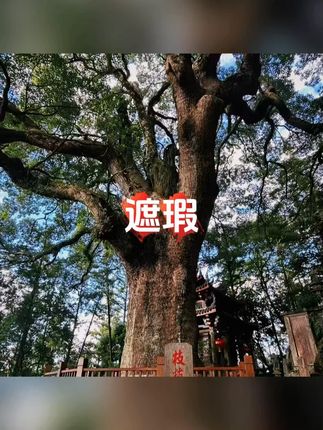 377+877美白祛斑贵妇膏养颜素颜遮瑕防水防汗提亮肤色抗皱紧致#遮瑕 #遮瑕粉底液 #遮瑕膏 #遮瑕神器 #遮瑕推荐