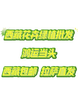 西藏包邮绿植-鸿运当头 #西藏包邮哥 #西藏花卉绿植批发 #鸿运当头