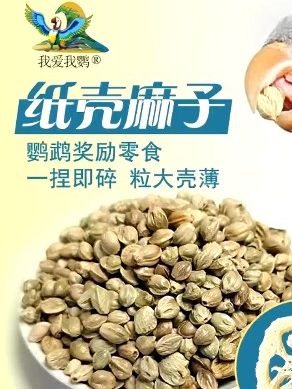 想要一只亲人听话的小鹦鹉吗,那就试试这个增肥奖励小零食吧  #鸟粮#  鹦鹉粮  #鹦鹉#  鹦鹉鹦鹉萌萌哒逗鹦鹉  #鹦鹉日常     #想要一只亲人听话的小鹦鹉