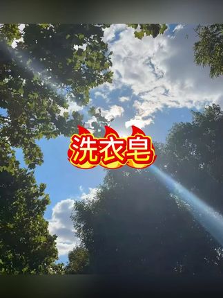雕牌肥皂洗衣皂202g大块透明皂青柠飘香不伤手深层去污渍家庭正品#洗衣皂 #洗衣皂推荐 #肥皂 #香皂 #香皂推荐