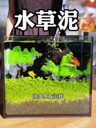 炎热的夏季,给家里添置一个水草缸,体验下从种子到绿叶的过程 #水草缸 #好物分享 #治愈
