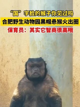 #穿搭#显瘦穿搭#小个子穿搭#夏季穿搭#裤子mtpq9.26