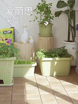 爱丽思种菜盆蔬菜种植箱家庭阳台特大号长方形花盆草莓爱丽丝种菜#种菜盆 #家庭阳台 #蔬菜种植 #爱丽思 #花盆