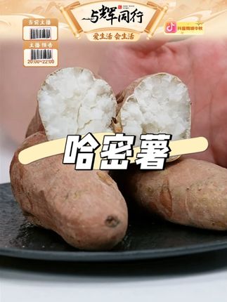 白哈密冰糖薯白心蜜薯 #白哈密冰糖薯 #哈密薯 #蜜薯