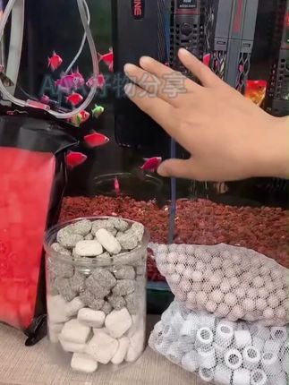 沃韦朗变频加热棒鱼缸石英加温棒功率可调自动恒温节能省电不煮鱼 #沃韦朗变频加热棒 #鱼缸加热棒 #石英加温棒 #自动恒温加热 #节能省电不煮鱼