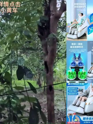 Chigo/志高家用中老年多功能蓝牙智能语音太空舱全自动智能