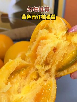 终于买到了了黄柿子!#西红柿  #黄西红柿  #黄柿子  #番茄  #特色水果