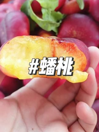 蝴蝶蟠桃新疆油蟠桃新鲜水果现摘当季整箱桃子蟠桃孕妇水果#蟠桃 #新鲜蟠桃 #水果蟠桃 #视频同款 #好物推荐