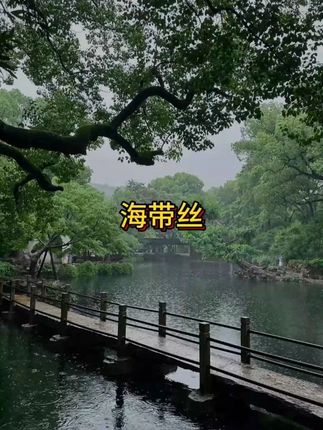 9.9抢20包 压缩海带丝免洗免切#美食 #男士神仙单品 #在抖音入手的好东西 #无限回购的宝藏单品 #大暑消夏开吃啦