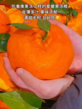 #爱媛果冻橙 #四川果冻橙爱媛38号 #橙子的维c含量 J