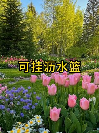 就这个挂在水龙头上的沥水篮也太方便了!不仅能倒个剩饭残渣全程不脏手,还能用来收纳洗碗工具#水槽挂篮 #厨房好物 #水槽过滤网