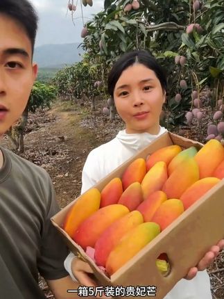 #贵妃芒